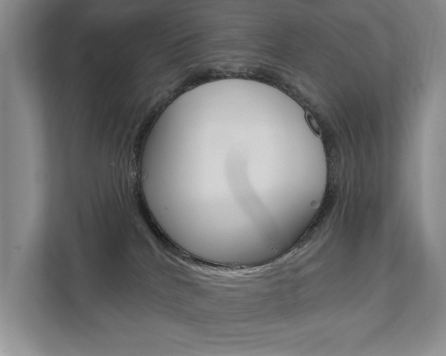 X0000111940040200907271023