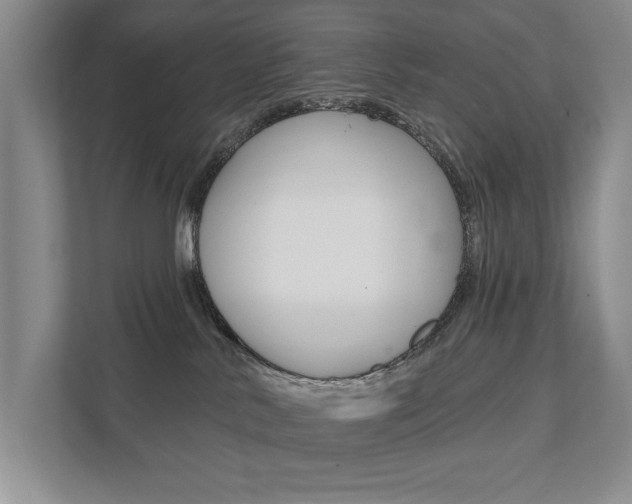 X0000111940042200907271023