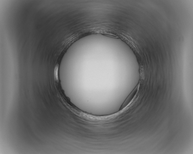 X0000111940047200907271023