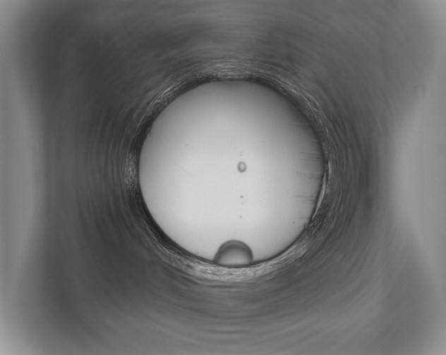 X0000111940048200907271023