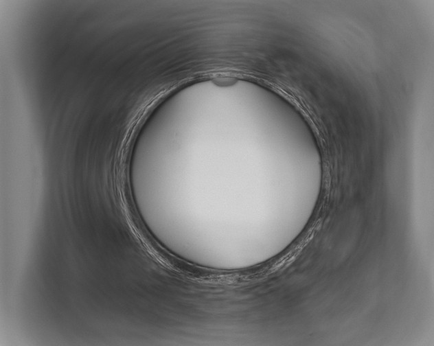 X0000111940049200907271022