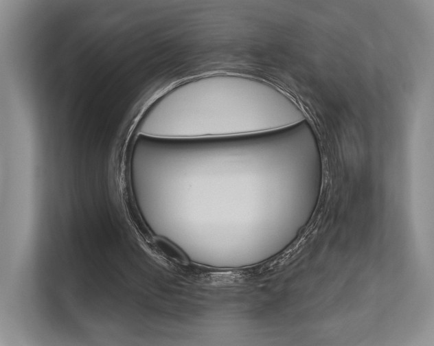 X0000111940050200907271022