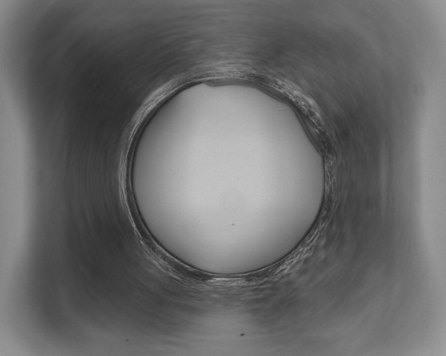 X0000111940051200907271022