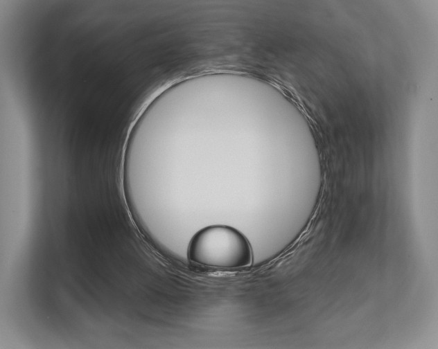 X0000111940052200907271022