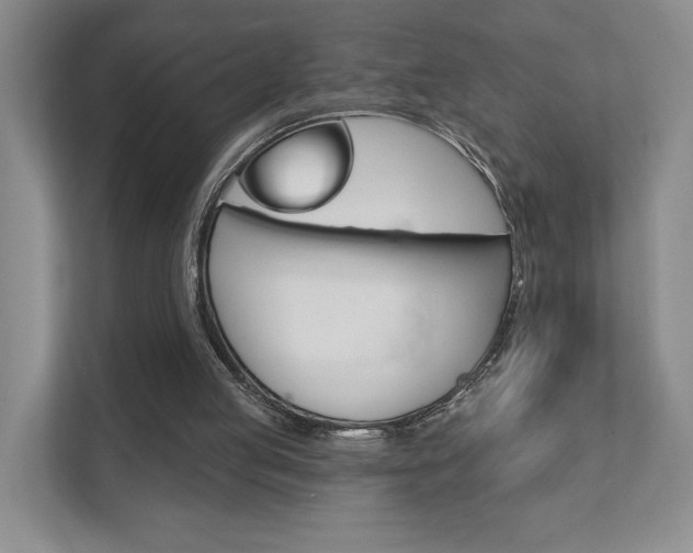 X0000111940053200907271022
