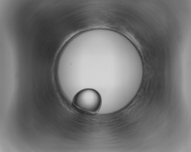 X0000111940060200907271022
