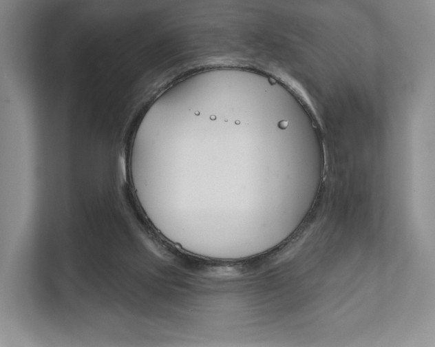 X0000111940061200907271022