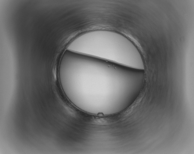 X0000111940062200907271022