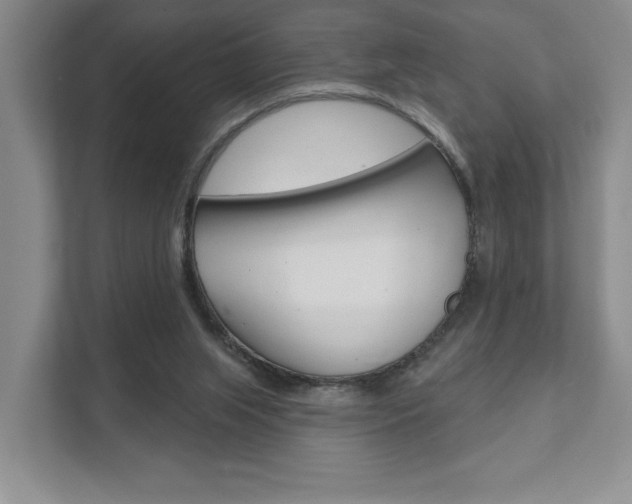 X0000111940063200907271022