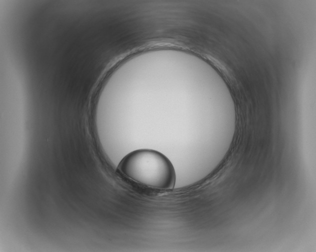 X0000111940064200907271022