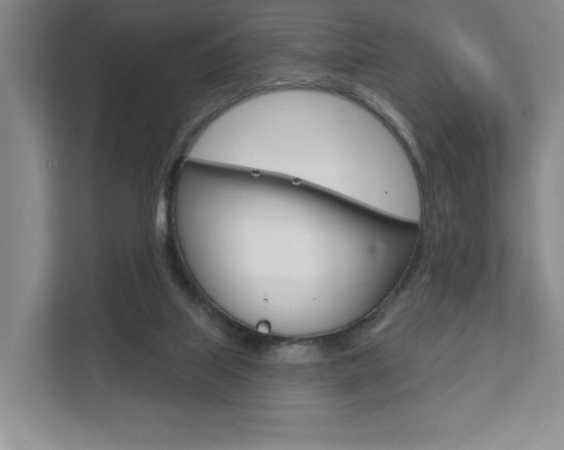 X0000111940067200907271022