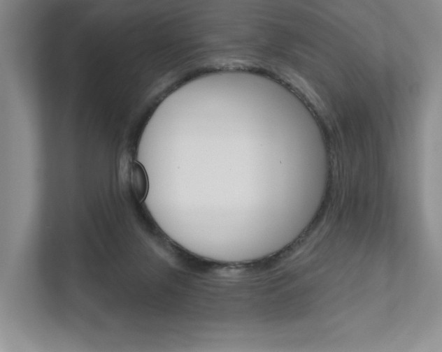 X0000111940071200907271022
