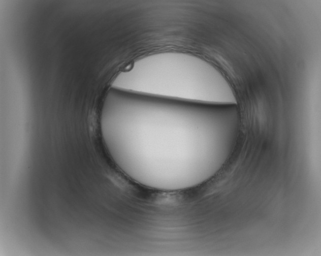 X0000111940077200907271023