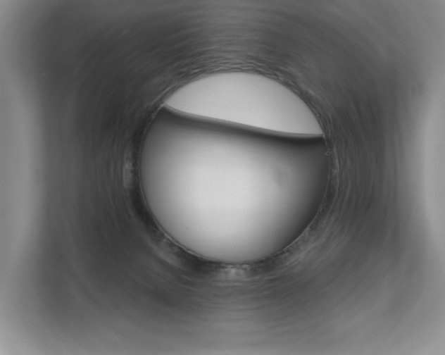 X0000111940080200907271023