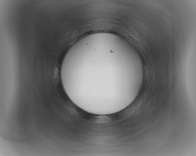 X0000111940087200907271023