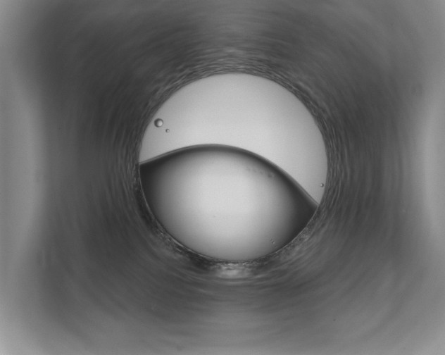 X0000111940088200907271023