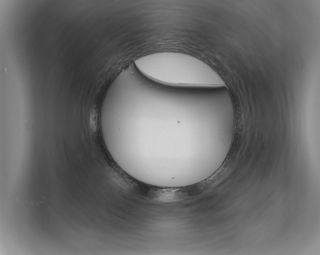 X0000111940090200907271023