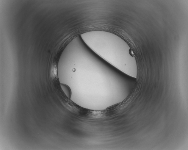 X0000111940095200907271023
