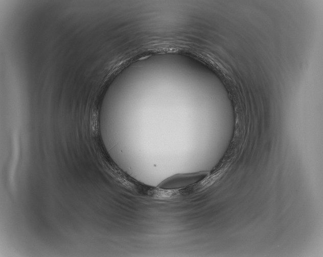 X0000111940096200907271023
