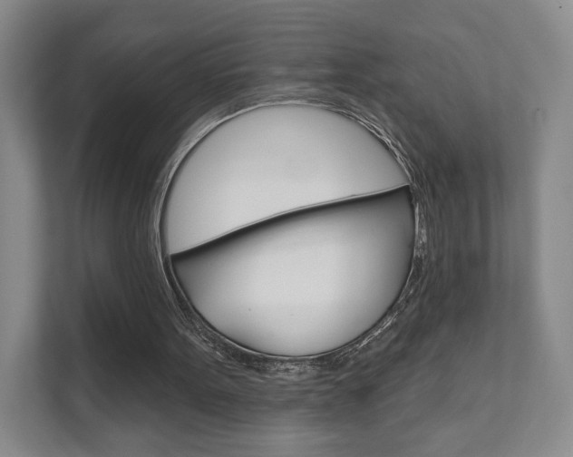 X0000111940099200907271022