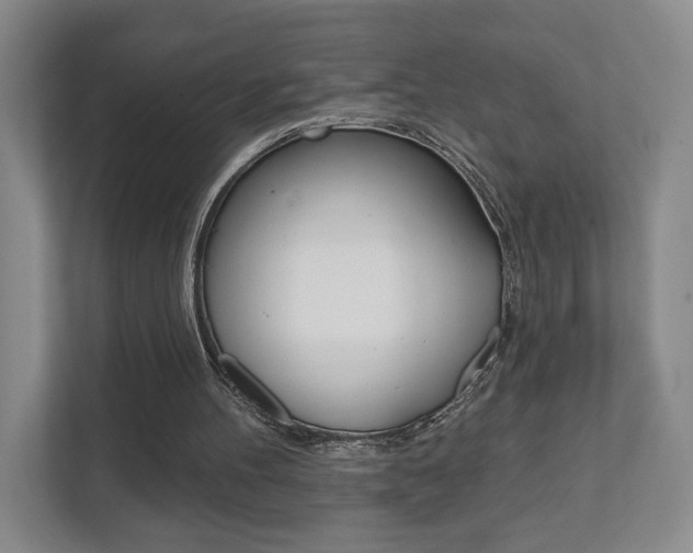 X0000111940100200907271022