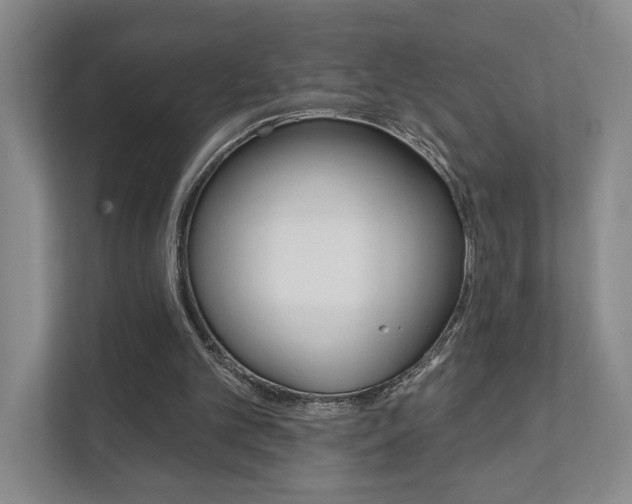 X0000111940101200907271022