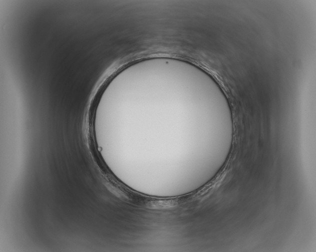 X0000111940102200907271022