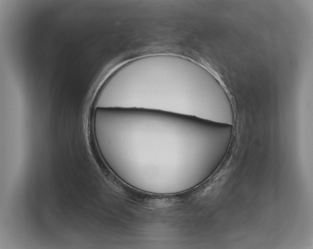 X0000111940103200907271022