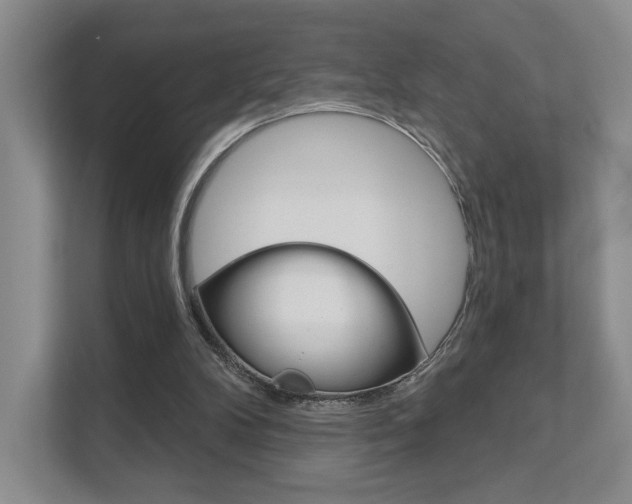 X0000111940104200907271022