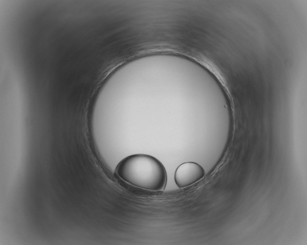 X0000111940105200907271022