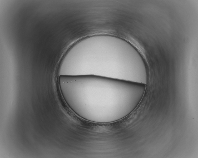 X0000111940107200907271022