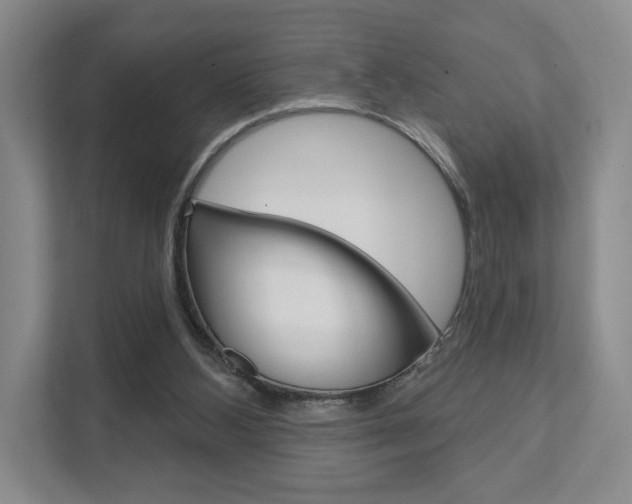 X0000111940108200907271022