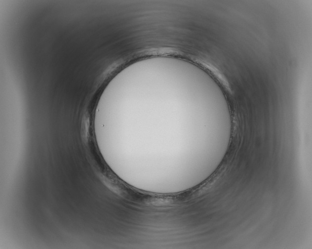 X0000111940110200907271022