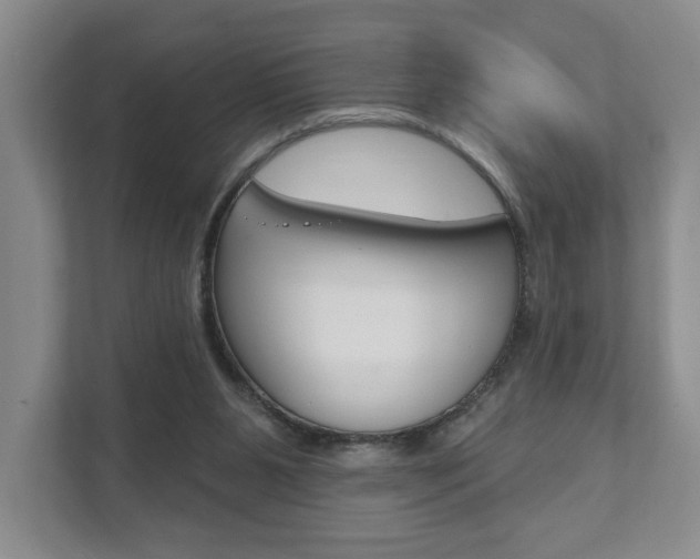 X0000111940111200907271022