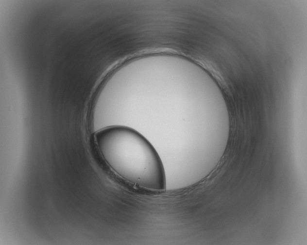 X0000111940112200907271022