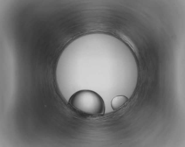 X0000111940113200907271022