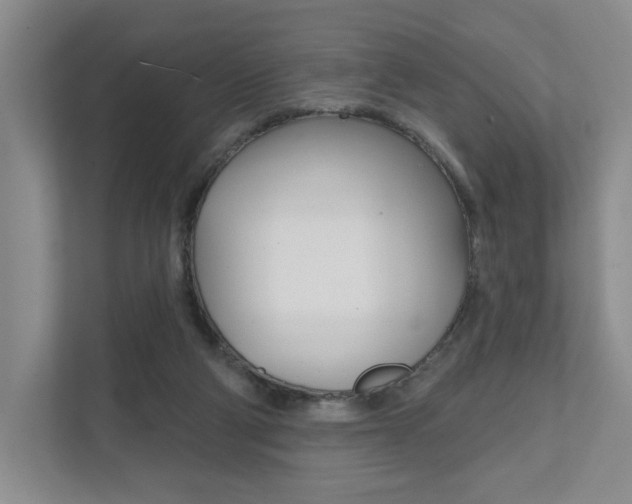 X0000111940114200907271022