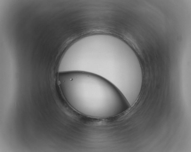 X0000111940116200907271022