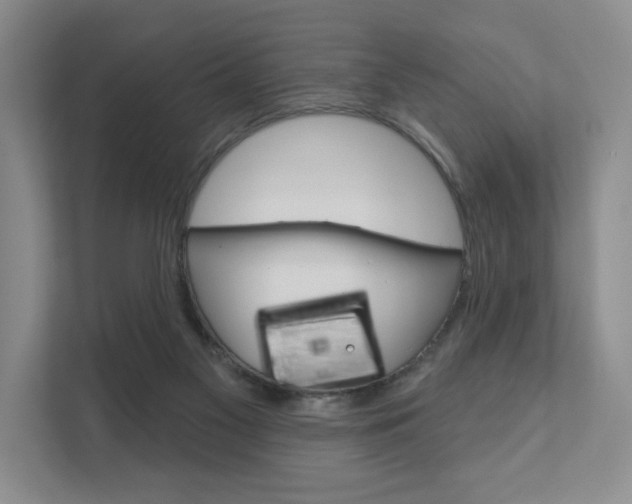 X0000111940117200907271022