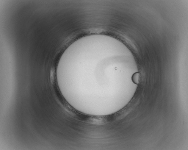 X0000111940118200907271022