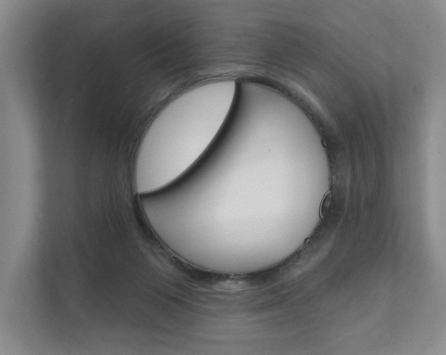 X0000111940119200907271022