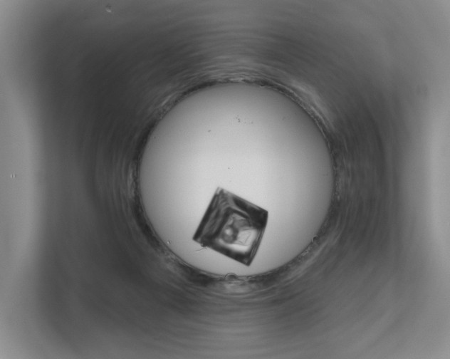 X0000111940121200907271022