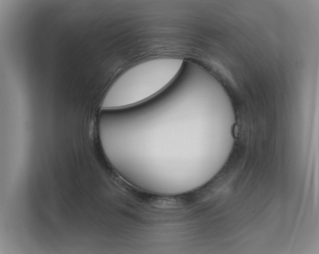 X0000111940123200907271022