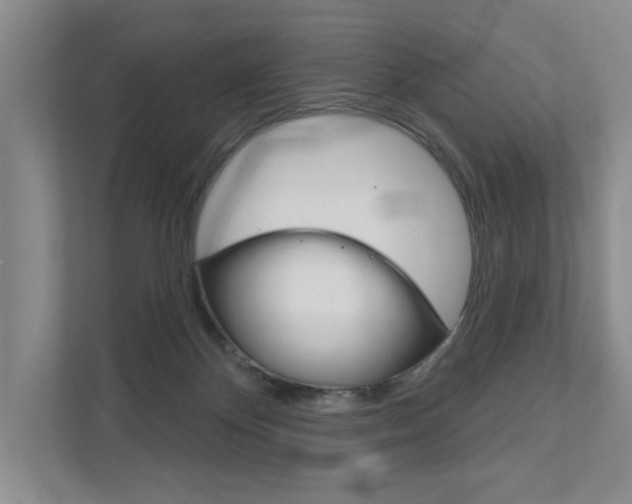X0000111940124200907271022