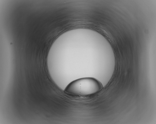 X0000111940125200907271022