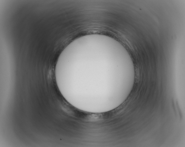 X0000111940126200907271022