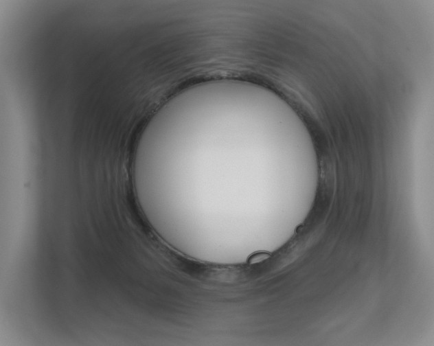 X0000111940127200907271022