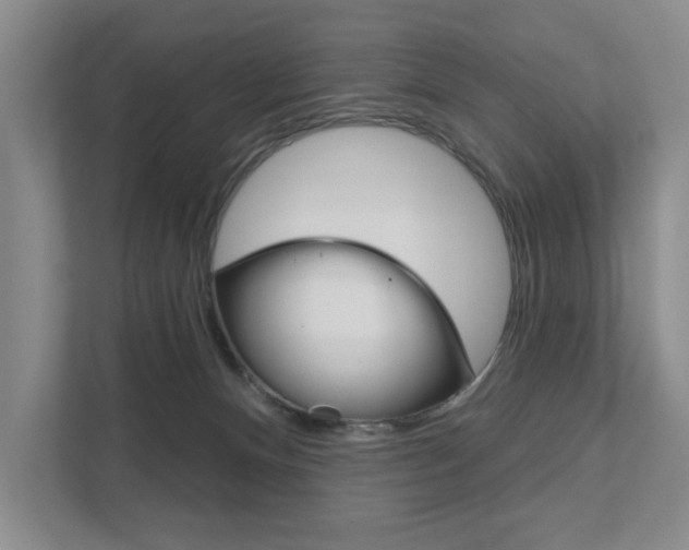 X0000111940128200907271022