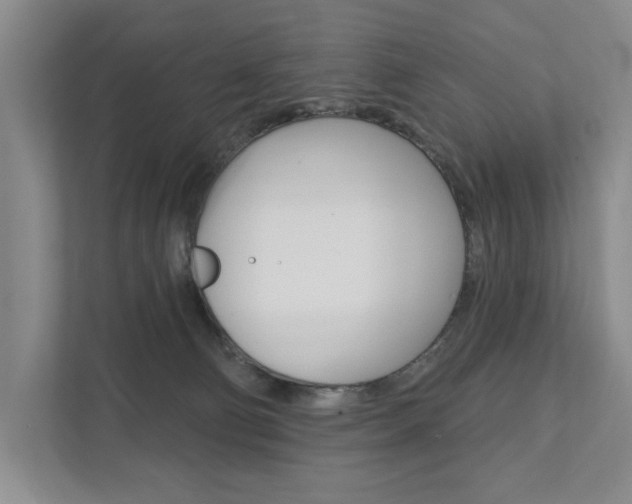 X0000111940130200907271022