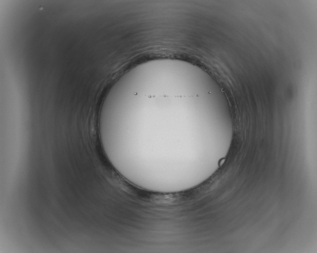 X0000111940131200907271022